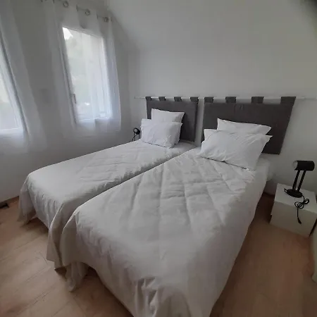 Les Iris Fleurs Des Pyrenees - Climatisation - Borne Vae Argeles-Gazost