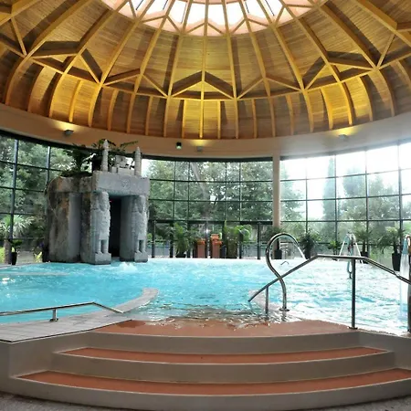 Les Iris Fleurs Des Pyrenees - Climatisation - Borne Vae