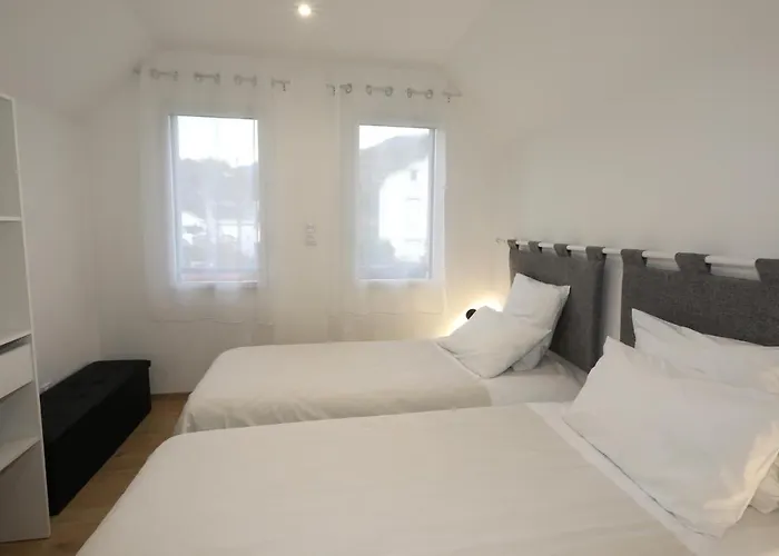 Les Iris Fleurs Des Pyrenees - Climatisation - Borne Vae *