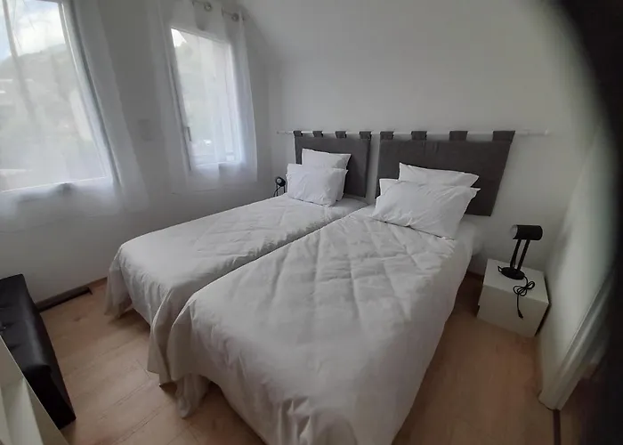 Les Iris Fleurs Des Pyrenees - Climatisation - Borne Vae Argeles-Gazost