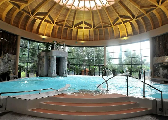 Les Iris Fleurs Des Pyrenees - Climatisation - Borne Vae