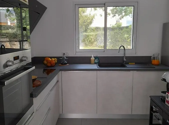 Ferienhaus Les Iris Fleurs Des Pyrenees - Climatisation - Borne Vae *